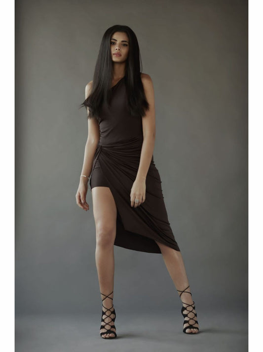The Mona Party Dresses for Women - Reema Anand Label