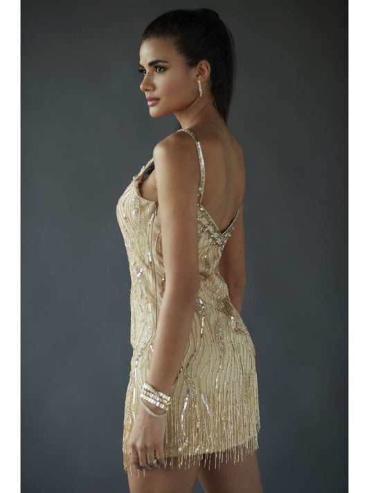 The Monaco Sequin Party Dresses - Reema Anand Label