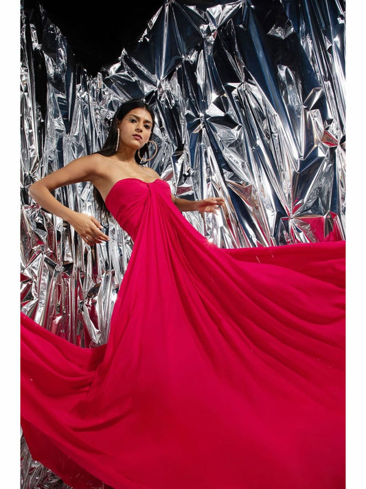 The Vienna Gown Dress - Reema Anand Label